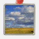 Buscar heno adornos Rural