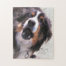Buscar collies puzzles Red de área fronteriza