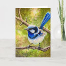 Buscar wren tarjetas Azul