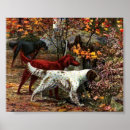 Buscar setter irlandés posters Animal