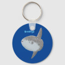 Buscar pez llaveros Para todos