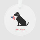 Buscar fun mascotas Perros