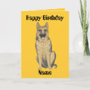 Buscar pastores tarjetas General y unisex