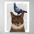 Buscar palomas posters Aves