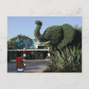 Buscar oso del dibujo animado postales Lindo