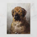 Buscar pintura del perro postales Vintage