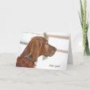 Buscar hivernal tarjetas Nieve