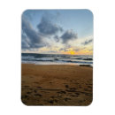 Buscar arroz imanes Moderno