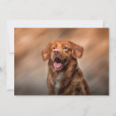 Buscar paws invitaciones Lindo