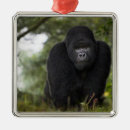 Buscar gorilas adornos Especies