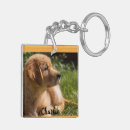 Buscar pérdida del perro llaveros Foto