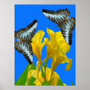 Buscar flor de la vida posters Mariposas