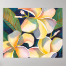 Buscar plumeria posters Hawaii