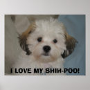 Buscar poo posters Perro
