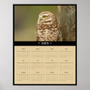Buscar aves rapaces calendarios Naturaleza