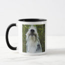 Buscar mezclado la tazas Perro