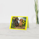 Buscar dachsie tarjetas Dashound