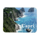 Buscar isla capri imanes Vacaciones