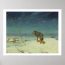 Buscar lobo solitario posters Pintura