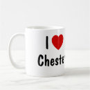 Buscar chester Ciudad
