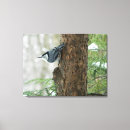 Buscar natura arte Fotografía
