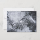 Buscar cristal fotograficas tarjetas Fotografía