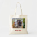 Buscar lemur bolsos Fauna