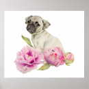 Buscar pug arte Animal