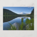 Buscar ambiente postales Lago