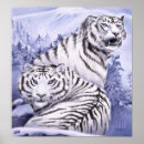 Buscar tigre blanco arte Nieve