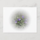 Buscar lengua postales Púrpura