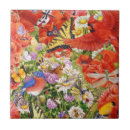 Buscar pájaro cardinal azulejos Pájaros