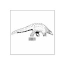 Buscar escalas manualidades General y unisex