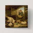 Buscar pocilga cerdo de George