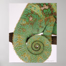 Buscar sangre posters Verde