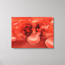Buscar anatomía microscópica Horizontal