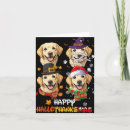 Buscar perro sucio tarjetas Merodeando por la nieve