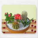 Buscar cactus alfombrillas de raton Planta de limpieza
