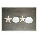 Buscar estrellas de mar posters Para ella