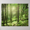Buscar kerry posters Paisaje