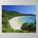 Buscar new zealand arte South island