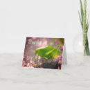 Buscar saltamontes tarjetas Fotografía