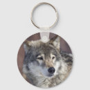 Buscar lobo gris llaveros Nieve