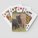 Buscar india barajas de cartas Animal