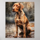Buscar vizsla arte Para todos
