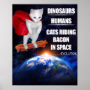 Buscar hilarante posters Gatito