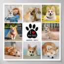 Buscar amo mi perro posters General y unisex
