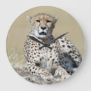 Buscar kenia relojes de pared Animal