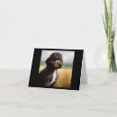 Buscar portugues tarjetas Perro