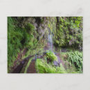 Buscar azores postales Naturaleza